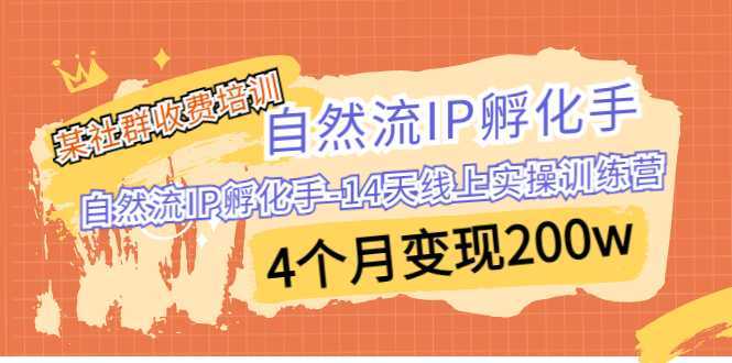 （6924期）某社群收费培训：自然流IP 孵化手-14天线上实操训练营 4个月变现200w