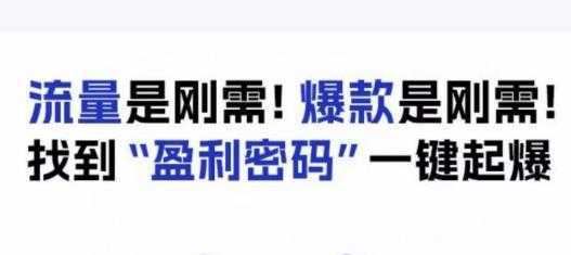 电商盈利精品课：6大盈利密码让产品更好卖，流量是刚需！爆款是刚需！找到”盈利密码”一键起爆