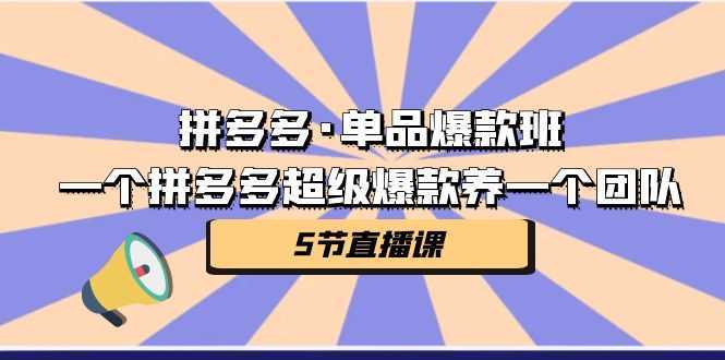 （7019期）拼多多·单品爆款班，一个拼多多超级爆款养一个团队（5节直播课）