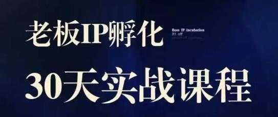 诸葛·2023老板IP实战课，实体同城引流获客，IP孵化必听